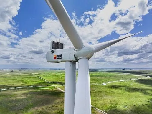 Energía autorizó cambios en las importaciones del parque eólico Olavarría bajo el RIGI